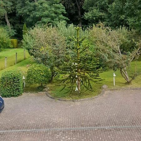 Pension Zum Park Goldberg Экстерьер фото