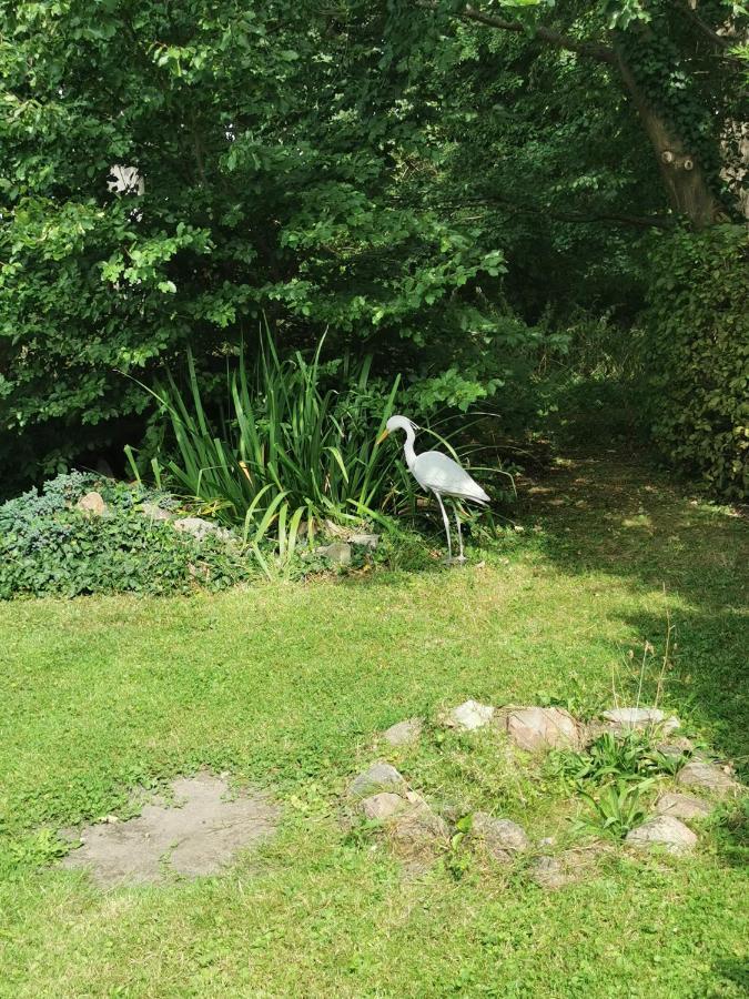 Pension Zum Park Goldberg Экстерьер фото